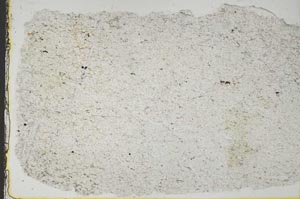 Plane Polarized, S40232