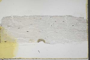 Plane Polarized, S40233