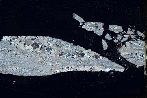 Cross Polarized, S40234