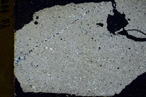 Cross Polarized, S40235