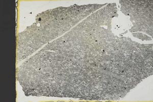 Plane Polarized, S40235