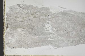 Plane Polarized, S40243