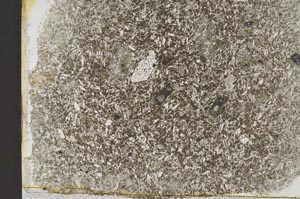 Plane Polarized, S40244