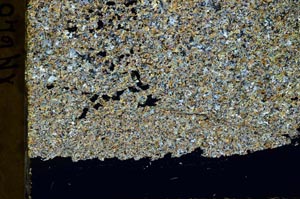 Cross Polarized, S40255
