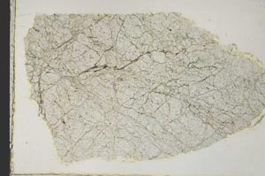 Plane Polarized, S40261