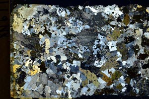 Cross Polarized, S40272