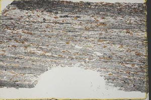 Plane Polarized, S40274