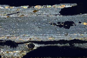 Cross Polarized, S40275