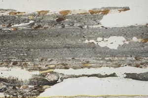 Plane Polarized, S40275