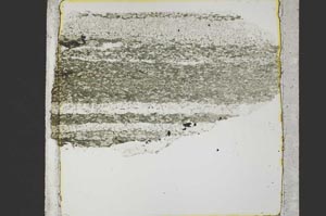Plane Polarized, S40279