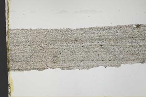 Plane Polarized, S40294