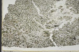 Plane Polarized, S40297