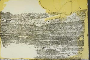 Plane Polarized, S40311