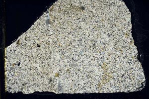 Cross Polarized, S40337