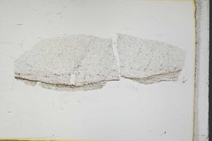 Plane Polarized, S40342
