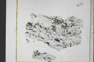 Plane Polarized, S40348