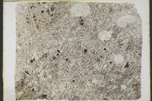 Plane Polarized, S40352