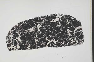 Plane Polarized, S40355