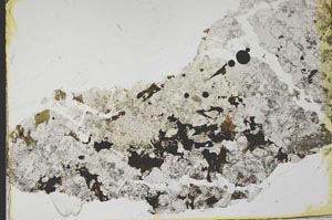 Plane Polarized, S40368