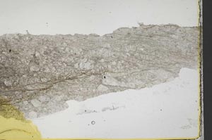 Plane Polarized, S40389