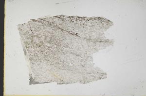Plane Polarized, S40395