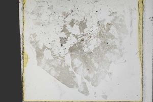 Plane Polarized, S40422/A