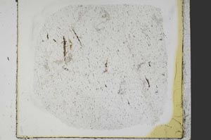 Plane Polarized, S40423