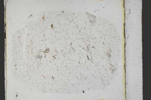 Plane Polarized, S40423/C