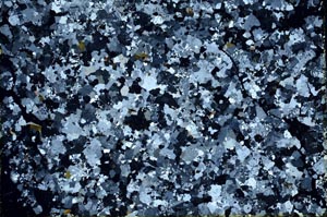 Cross Polarized, S40440