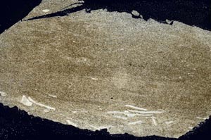 Cross Polarized, S40471