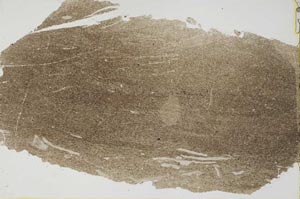 Plane Polarized, S40471