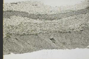Plane Polarized, S40478
