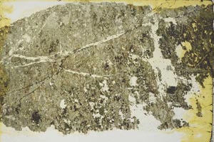 Plane Polarized, S40509