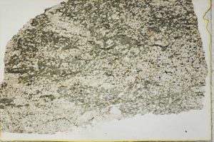 Plane Polarized, S40525