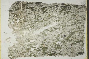 Plane Polarized, S40540