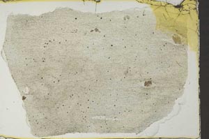 Plane Polarized, S40581
