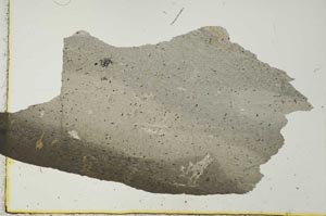Plane Polarized, S40589
