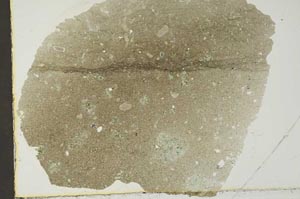 Plane Polarized, S40602