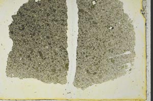 Plane Polarized, S40632