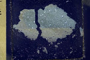 Cross Polarized, S40654