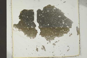 Plane Polarized, S40654