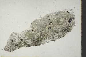 Plane Polarized, S40676