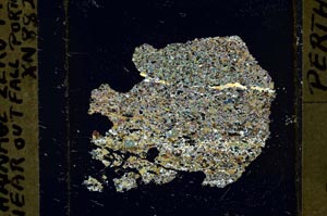 Cross Polarized, S40680