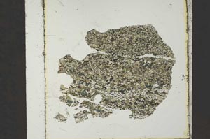 Plane Polarized, S40680