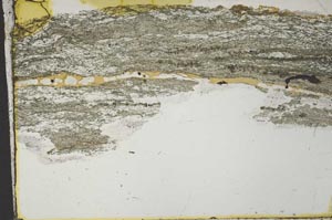 Plane Polarized, S40681