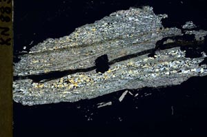 Cross Polarized, S40681/A