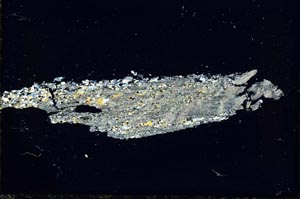 Cross Polarized, S40681/B