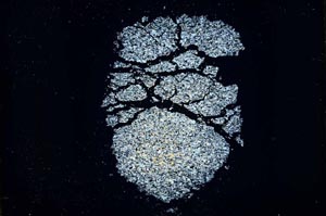 Cross Polarized, S40682