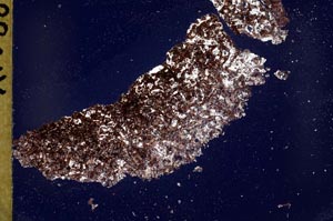 Cross Polarized, S40685