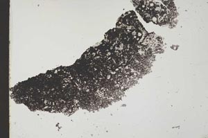 Plane Polarized, S40685